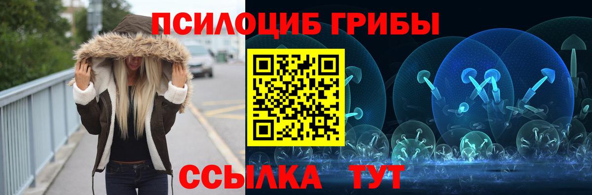 Псилоцибиновые грибы Psilocybe  Вход с VPN  Сосновоборск 