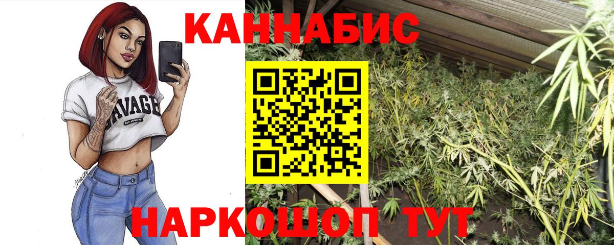 Сосновоборск  Бошки Шишки Amnesia  Вход с VPN  Канабис ГИДРОПОН 